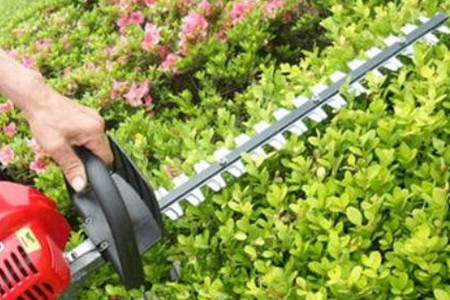 電動綠籬機刀片的價格貴嗎?