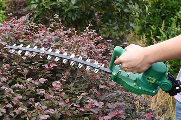 綠籬機刀片太鈍了?磨一磨會變得鋒利! 圖1